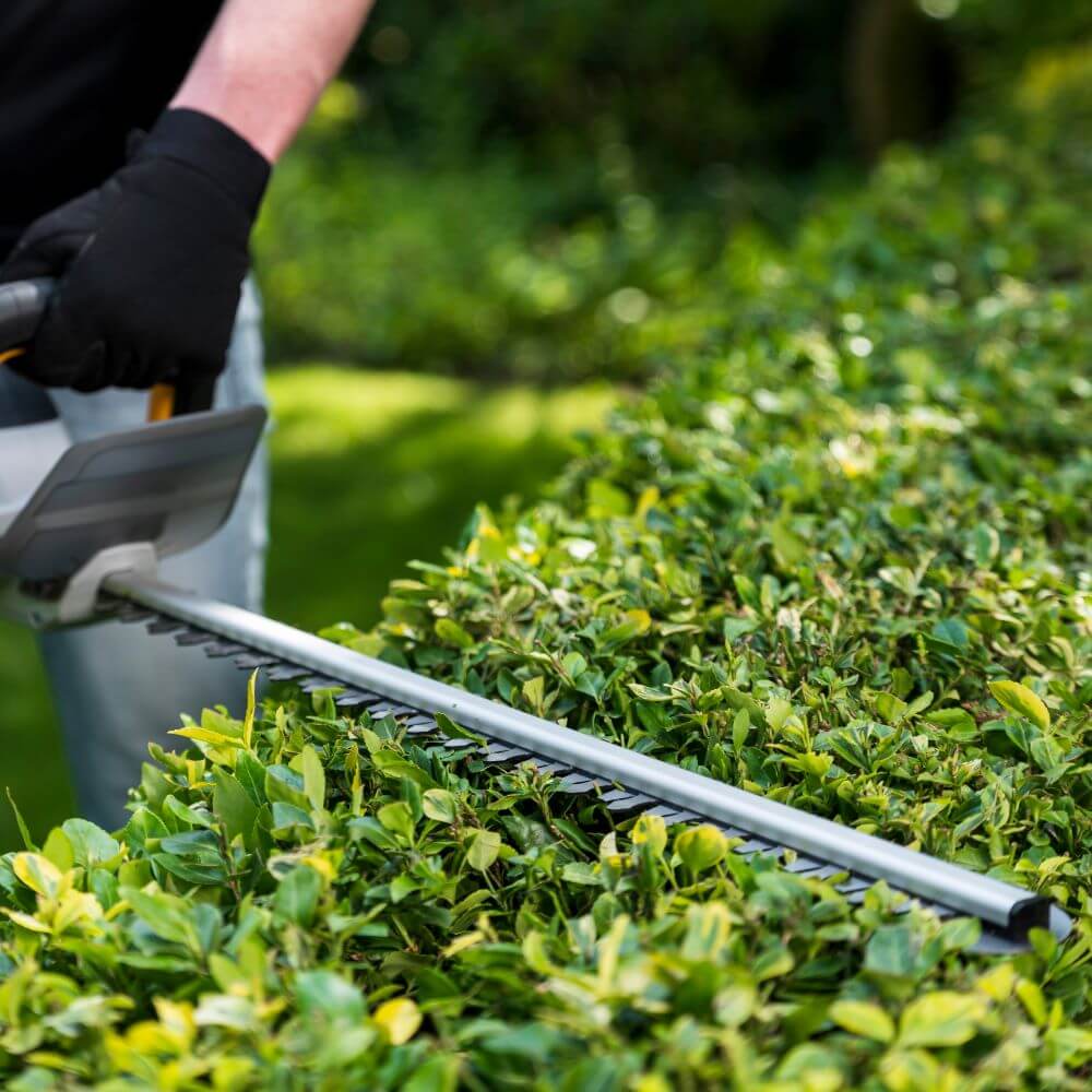 18V Cordless Hedge Trimmer 560mm - Image 4